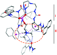 Graphical abstract: Selective recognition of choline phosphate by tripodal hexa-urea receptors with dual binding sites: crystal and solution evidence