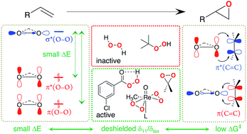 Graphical abstract: Oxygen transfer in electrophilic epoxidation probed by 17O NMR: differentiating between oxidants and role of spectator metal oxo