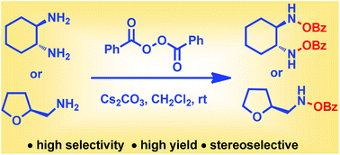 Graphical abstract: Direct N–O bond formation via oxidation of amines with benzoyl peroxide