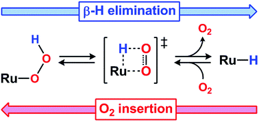 Graphical abstract: Hydrogen peroxide as a hydride donor and reductant under biologically relevant conditions