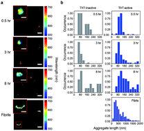 Graphical abstract: Direct observation of prion protein oligomer formation reveals an aggregation mechanism with multiple conformationally distinct species