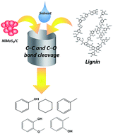 Graphical abstract: Thermocatalytic cleavage of C–C and C–O bonds in model compounds and kraft lignin by NiMoS2/C nanocatalysts