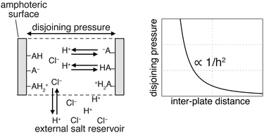 Graphical abstract: Interactions between amphoteric surfaces with strongly overlapping double layers