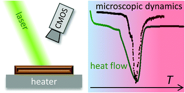 Graphical abstract: Phase transitions in polymorphic materials probed using space-resolved diffusing wave spectroscopy