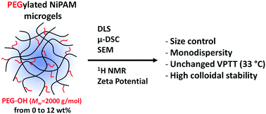 Graphical abstract: PEGylated NiPAM microgels: synthesis, characterization and colloidal stability