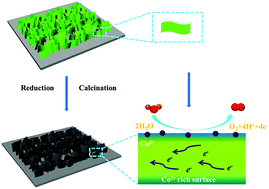 Graphical abstract: Probing the active sites of Co3O4 for the acidic oxygen evolution reaction by modulating the Co2+/Co3+ ratio