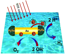 Graphical abstract: Plasmon-enhanced electrocatalytic hydrogen/oxygen evolution by Pt/Fe–Au nanorods