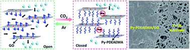 Graphical abstract: A CO2-responsive graphene oxide/polymer composite nanofiltration membrane for water purification