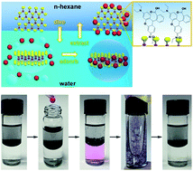 Graphical abstract: Imprinted MoS2 achieve highly efficient self-separative molecule extraction