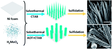 Graphical abstract: Dimensional construction and morphological tuning of heterogeneous MoS2/NiS electrocatalysts for efficient overall water splitting