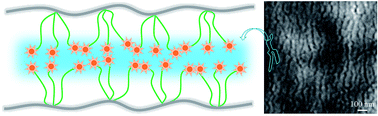 Graphical abstract: Alkali-stable partially fluorinated poly(arylene ether) anion exchange membranes with a claw-type head for fuel cells