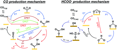 Graphical abstract: New challenges of electrokinetic studies in investigating the reaction mechanism of electrochemical CO2 reduction