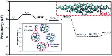 Graphical abstract: Discovery of cobweb-like MoC6 and its application for nitrogen fixation
