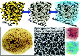 Graphical abstract: Bioinspired elastic piezoelectric composites for high-performance mechanical energy harvesting