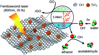 Graphical abstract: Redox shuttle enhances nonthermal femtosecond two-photon self-doping of rGO–TiO2−x photocatalysts under visible light