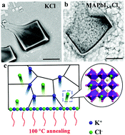 Graphical abstract: Boosting the performance of perovskite solar cells through a novel active passivation method
