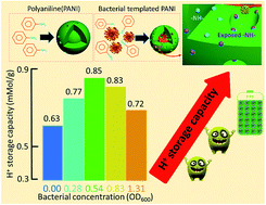 Graphical abstract: Bacteria cell templated porous polyaniline facilitated detoxification and recovery of hexavalent chromium