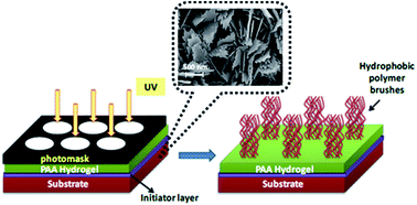 Graphical abstract: Micro-patterned anti-icing coatings with dual hydrophobic/hydrophilic properties