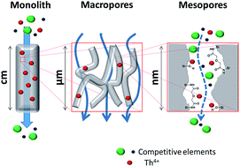 Graphical abstract: Selective separation and preconcentration of Th(iv) using organo-functionalized, hierarchically porous silica monoliths