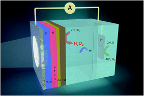 Graphical abstract: Organic heterojunction photocathodes for optimized photoelectrochemical hydrogen peroxide production