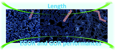 Graphical abstract: Solvent-mediated length tuning of ultrathin platinum–cobalt nanowires for efficient electrocatalysis