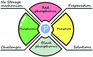 Graphical abstract: Recent developments of phosphorus-based anodes for sodium ion batteries