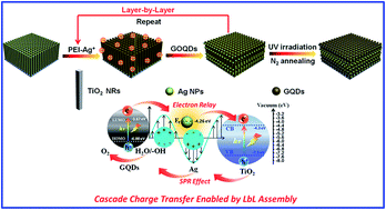 Graphical abstract: Plasmon-induced photoelectrochemical water oxidation enabled by in situ layer-by-layer construction of cascade charge transfer channel in multilayered photoanode