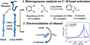 Graphical abstract: Fabrication of an amyloid fibril-palladium nanocomposite: a sustainable catalyst for C–H activation and the electrooxidation of ethanol