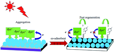 Graphical abstract: An imidazolium iodide salt as a bifunctional co-adsorbent for quasi-solid-state dye-sensitized solar cells: improvements of electron lifetime and charge collection efficiency