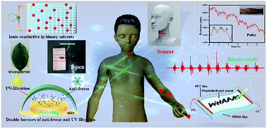Graphical abstract: An integrated transparent, UV-filtering organohydrogel sensor via molecular-level ion conductive channels