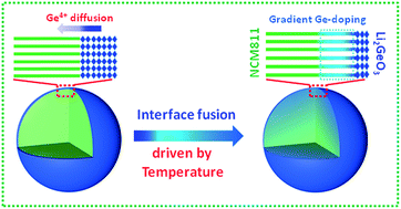 Graphical abstract: Overall structural modification of a layered Ni-rich cathode for enhanced cycling stability and rate capability at high voltage