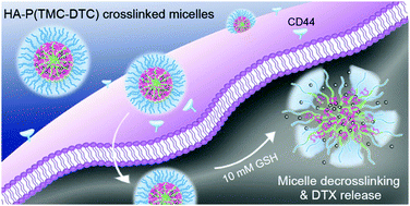 Graphical abstract: Reduction-responsive core-crosslinked hyaluronic acid-b-poly(trimethylene carbonate-co-dithiolane trimethylene carbonate) micelles: synthesis and CD44-mediated potent delivery of docetaxel to triple negative breast tumor in vivo