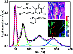 Graphical abstract: Multiplexed fluorescence lifetime imaging by concentration-dependent quenching