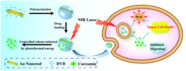 Graphical abstract: Synthesis of Janus Au nanorods/polydivinylbenzene hybrid nanoparticles for chemo-photothermal therapy