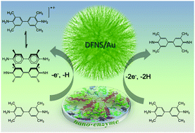 Graphical abstract: Dendritic fibrous nano-silica supported gold nanoparticles as an artificial enzyme