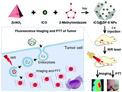 Graphical abstract: A zeolitic imidazolate framework-8-based indocyanine green theranostic agent for infrared fluorescence imaging and photothermal therapy