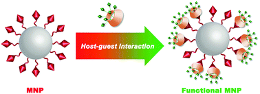 Graphical abstract: A supramolecular approach for versatile biofunctionalization of magnetic nanoparticles