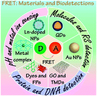 Graphical abstract: Energy transfer-based biodetection using optical nanomaterials