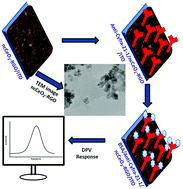 Graphical abstract: Cubic CeO2 implanted reduced graphene oxide-based highly sensitive biosensor for non-invasive oral cancer biomarker detection