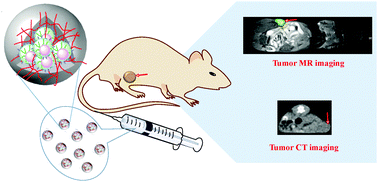 Graphical abstract: A unique nanogel-based platform for enhanced dual mode tumor MR/CT imaging