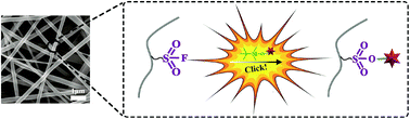 Graphical abstract: “Click-chemical” modification of cellulose acetate nanofibers: a versatile platform for biofunctionalization