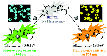 Graphical abstract: A simple Schiff base as dual-responsive fluorescent sensor for bioimaging recognition of Zn2+ and Al3+ in living cells