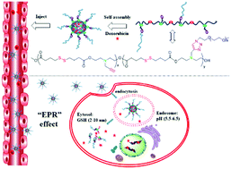 Graphical abstract: Chemoenzymatic synthesis of dual-responsive graft copolymers for drug delivery: long-term stability, high loading and cell selectivity