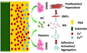 Graphical abstract: Endothelial mimetic multifunctional surfaces fabricated via polydopamine mediated copper immobilization