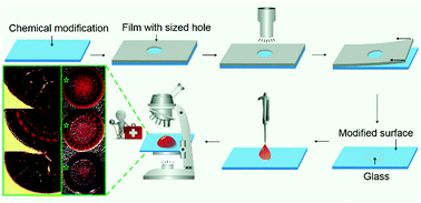 Graphical abstract: Controlling the contact angle of biological sessile drops for study of their desiccated cracking patterns