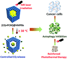 Graphical abstract: A chloroquine-loaded Prussian blue platform with controllable autophagy inhibition for enhanced photothermal therapy