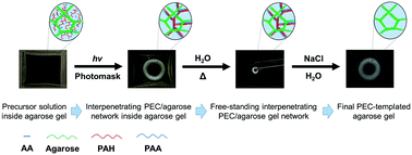 Graphical abstract: Photolithographically assembled polyelectrolyte complexes as shape-directing templates for thermoreversible gels