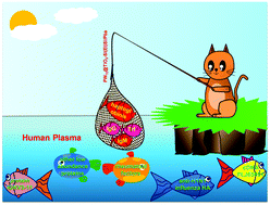 Graphical abstract: Pyridine boronic acid-polyoxometalate based porous hybrid for efficient depletion of high abundant glycoproteins in plasma