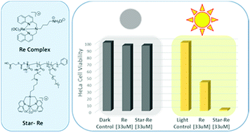 Graphical abstract: Linker chemistry dictates the delivery of a phototoxic organometallic rhenium(i) complex to human cervical cancer cells from core crosslinked star polymer nanoparticles