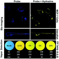 Graphical abstract: Ratiometric fluorescence probe for hydrazine vapor detection and biological imaging